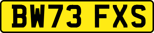 BW73FXS