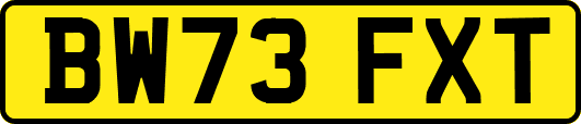 BW73FXT