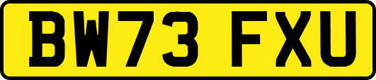 BW73FXU