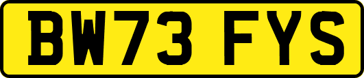 BW73FYS