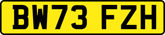 BW73FZH