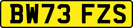 BW73FZS