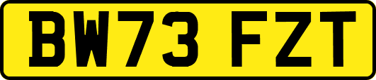 BW73FZT