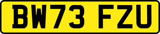 BW73FZU