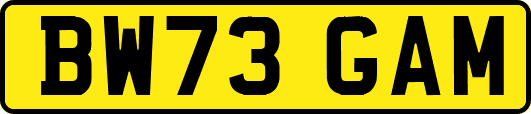 BW73GAM