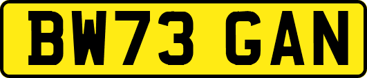 BW73GAN