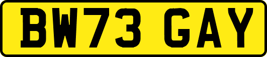 BW73GAY
