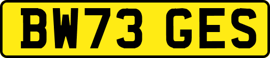 BW73GES