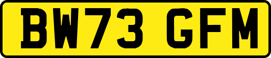 BW73GFM
