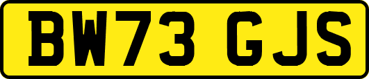 BW73GJS