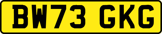 BW73GKG