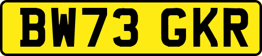 BW73GKR