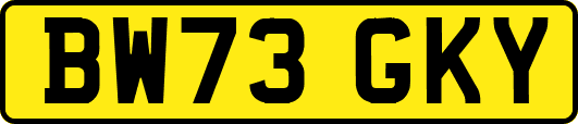 BW73GKY