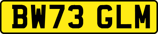 BW73GLM