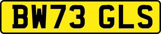 BW73GLS