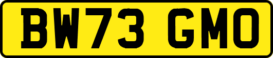 BW73GMO