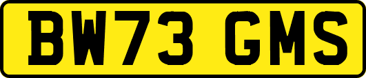 BW73GMS