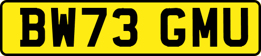 BW73GMU