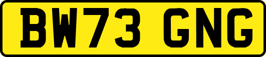 BW73GNG