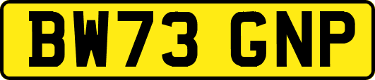 BW73GNP