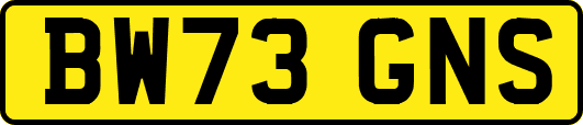 BW73GNS