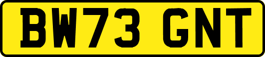 BW73GNT