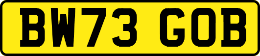 BW73GOB