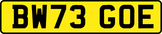 BW73GOE