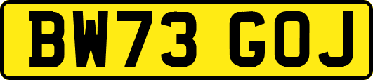 BW73GOJ