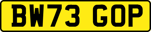 BW73GOP