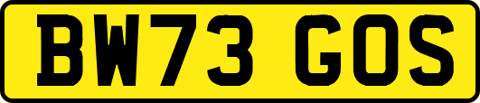 BW73GOS