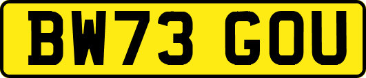 BW73GOU