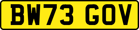 BW73GOV