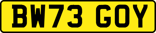 BW73GOY