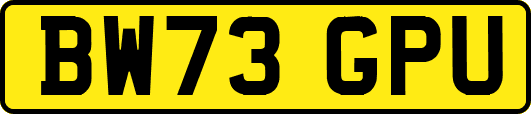 BW73GPU