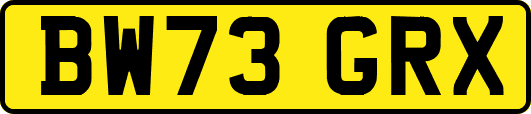 BW73GRX