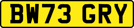 BW73GRY