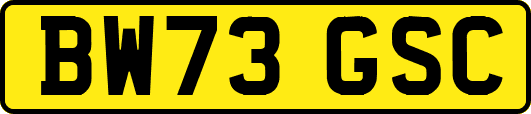 BW73GSC