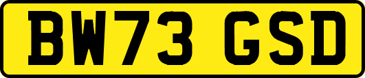 BW73GSD