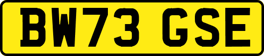 BW73GSE