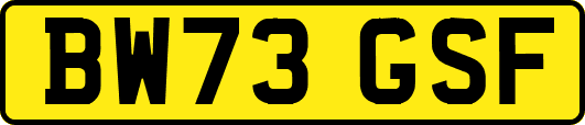 BW73GSF
