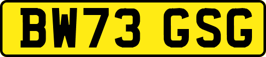 BW73GSG