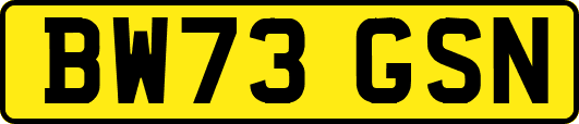 BW73GSN