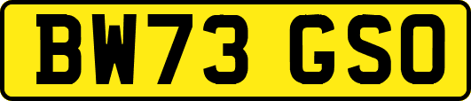 BW73GSO