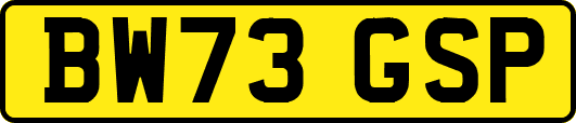 BW73GSP