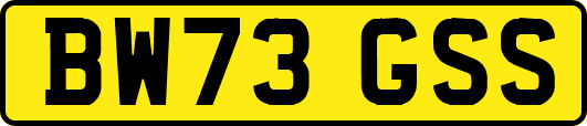 BW73GSS