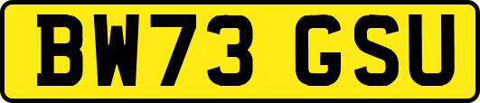 BW73GSU