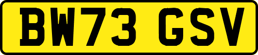 BW73GSV