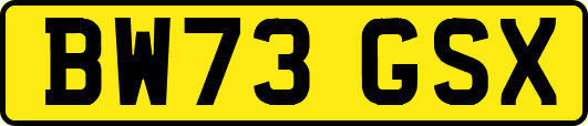 BW73GSX