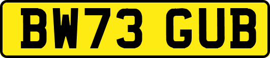 BW73GUB